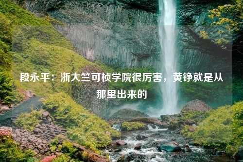 段永平：浙大竺可桢学院很厉害，黄铮就是从那里出来的