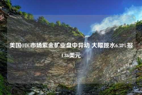 美国OTC市场紫金矿业盘中异动 大幅跳水6.38%报1.86美元