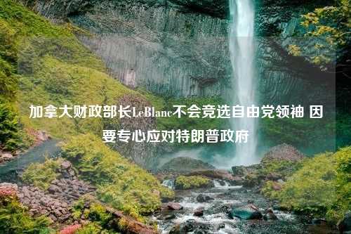 加拿大财政部长LeBlanc不会竞选自由党领袖 因要专心应对特朗普政府