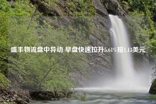 盛丰物流盘中异动 早盘快速拉升5.61%报1.13美元