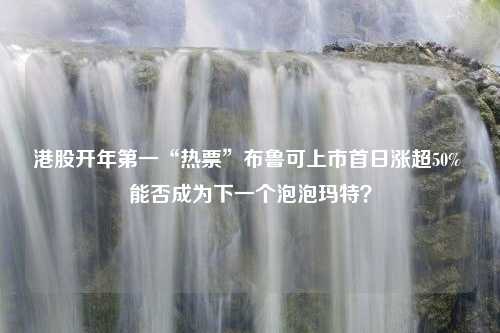 港股开年第一“热票”布鲁可上市首日涨超50% 能否成为下一个泡泡玛特？