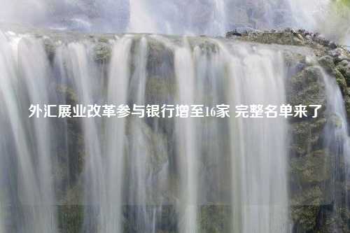 外汇展业改革参与银行增至16家 完整名单来了